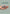 Promotion banner